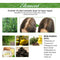 Rosemary Hair Care Essential Oil Repair Hair Dry Hair Frizz Smoothing Hair Care Essential Oil