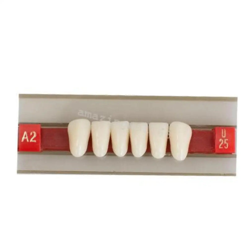 Funwill Transform Your Smile With Anterior Acrylic Resin Gu25 A2 Lower False Denture Teeth - Ideal